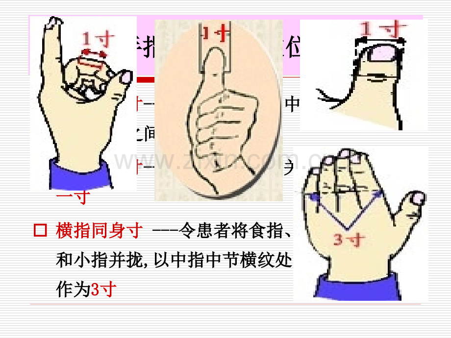 中医50常用穴位.pptx_第2页