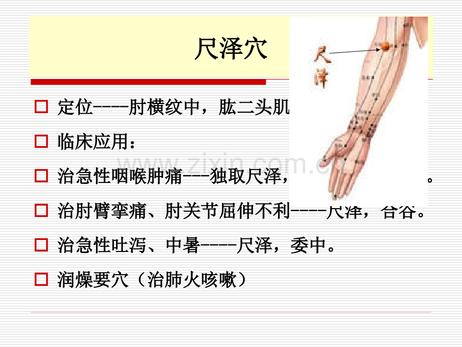 中医50常用穴位.pptx_第3页