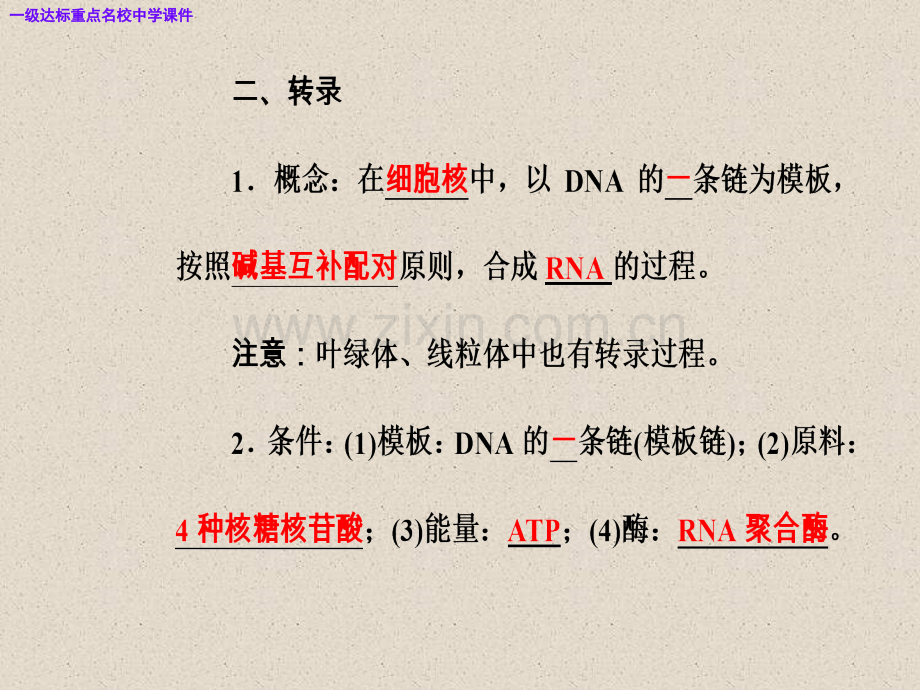 高三生物复习精讲精练之专题七考点5遗传信息的转录和翻译.pptx_第3页