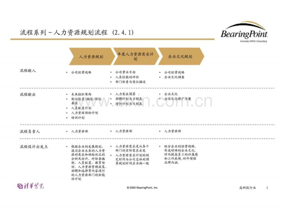 bearingpoint人力资源管理流程智库文档.pptx_第2页