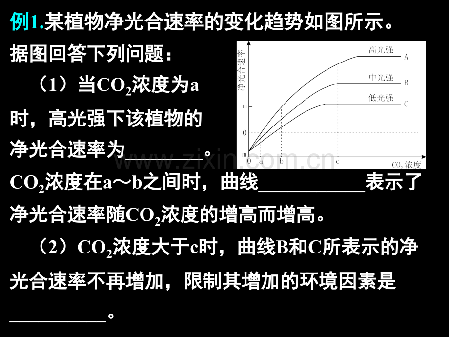 高三生物细胞呼吸与光合作用专题之识图课件.pptx_第3页