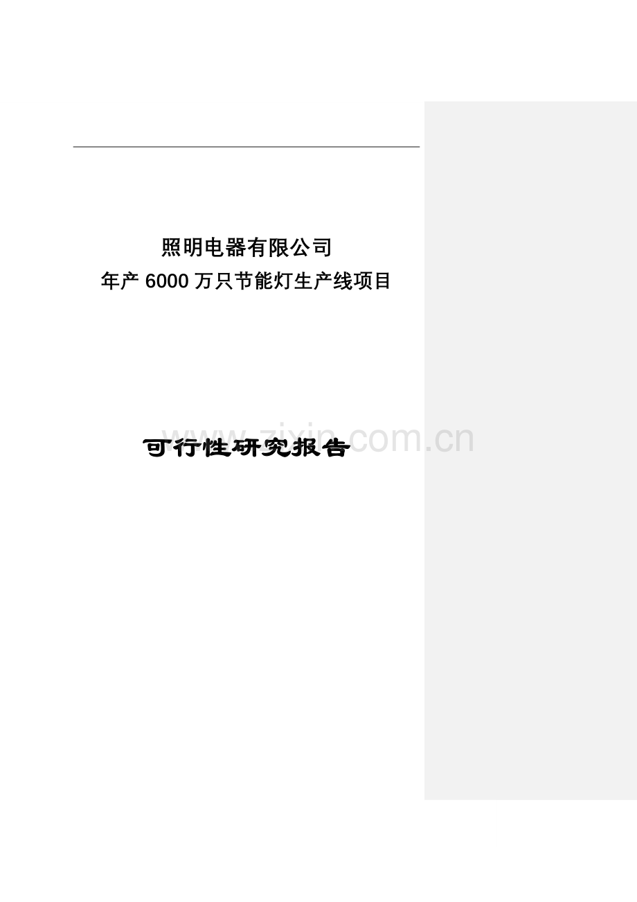 6000万支节能灯项目投资可行性研究报告.doc_第1页