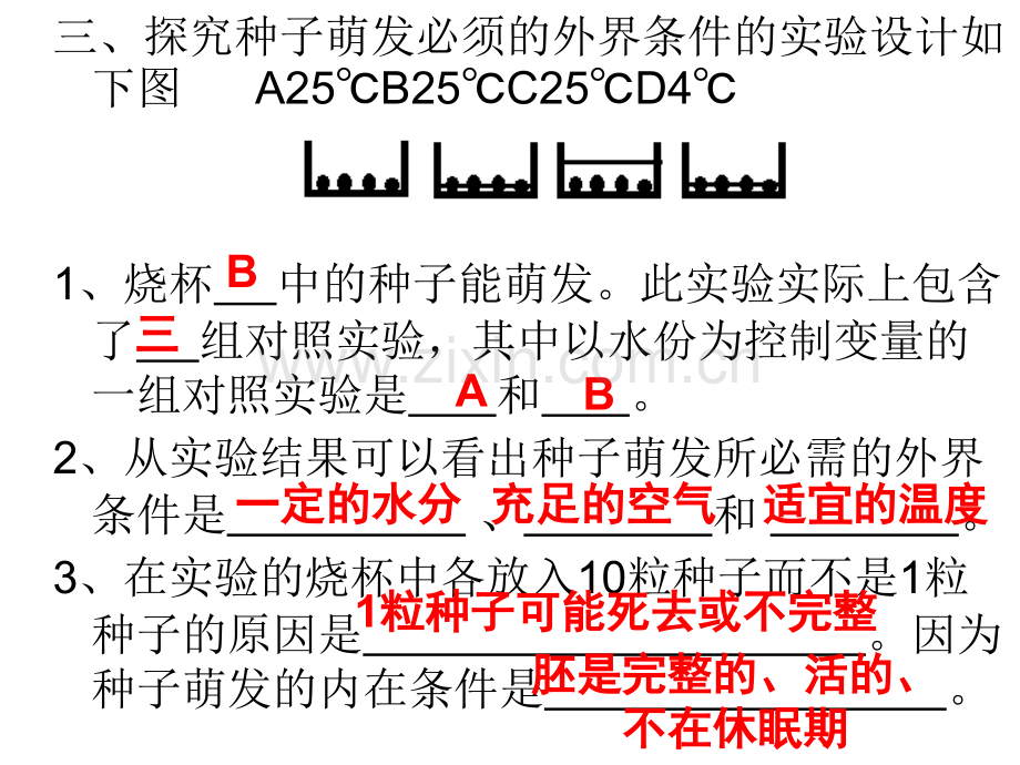 七年级生物上期末复习.pptx_第3页