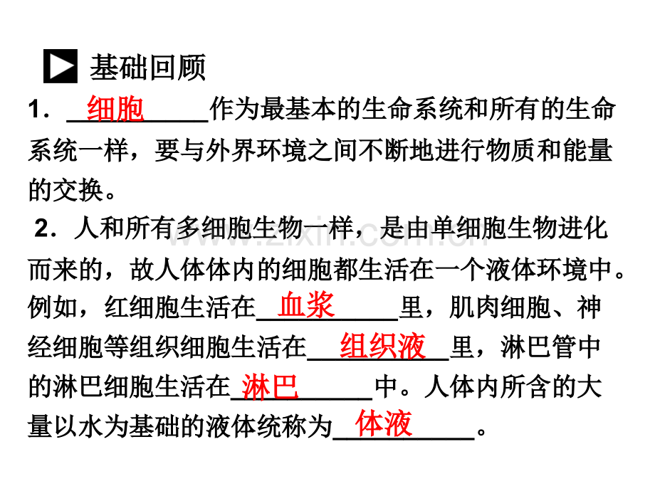 2011高三生物复习考点一人体内环境与稳态.pptx_第3页