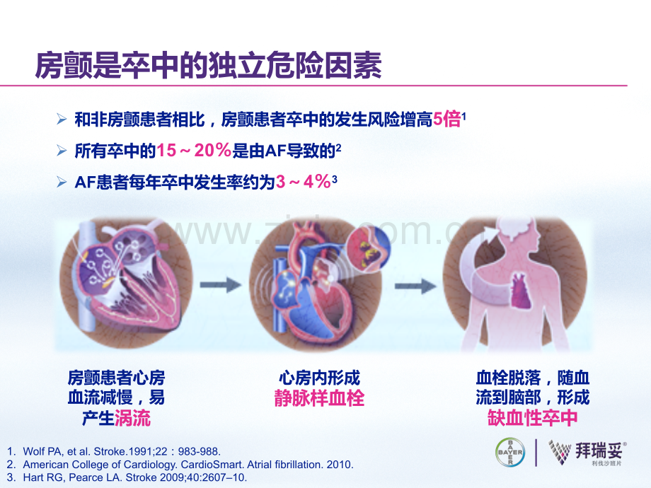 中国房颤抗凝治疗的现状.pptx_第3页