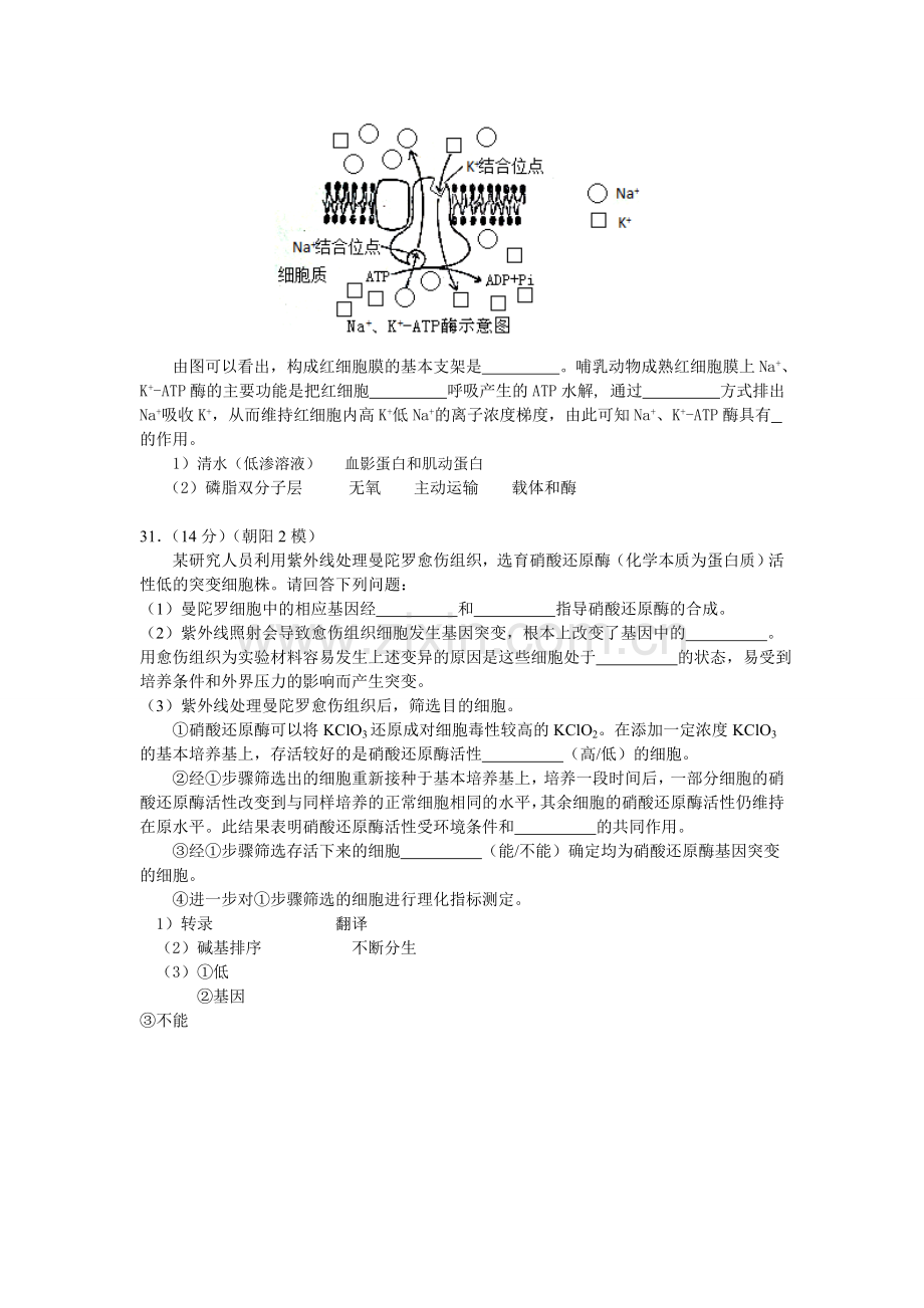 北京市高考生物31题汇编.doc_第2页