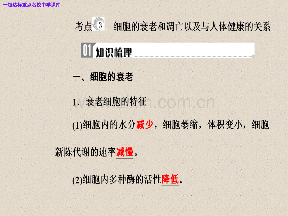 高三生物复习精讲精练之专题五考点3细胞的衰老和凋亡以及与人体健康的关系.pptx_第2页