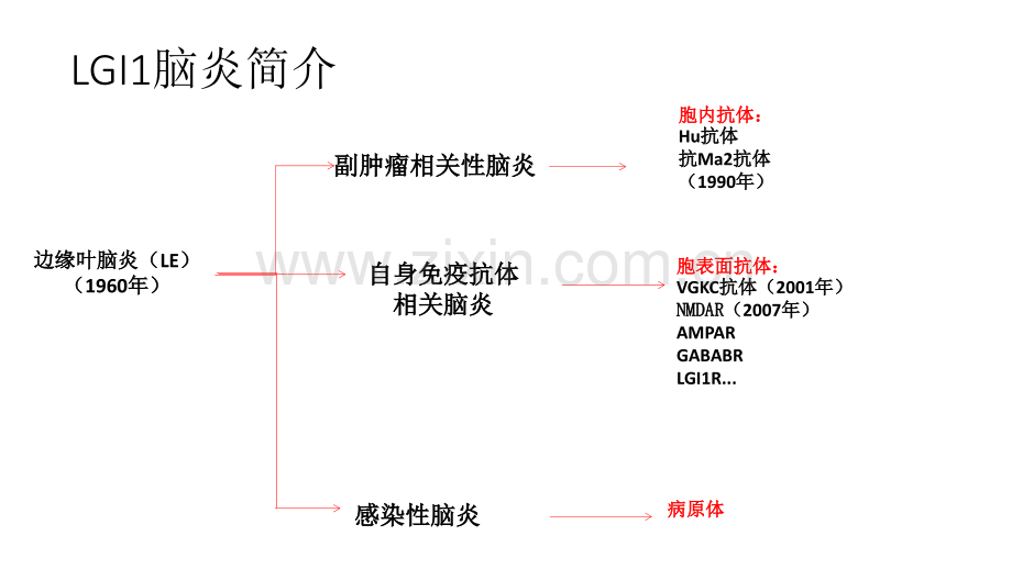 LGI1脑炎.pptx_第3页