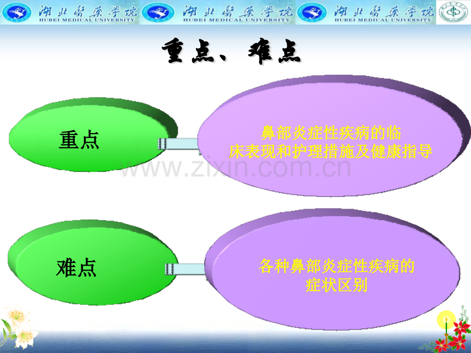 鼻咽部疾病.pptx_第2页