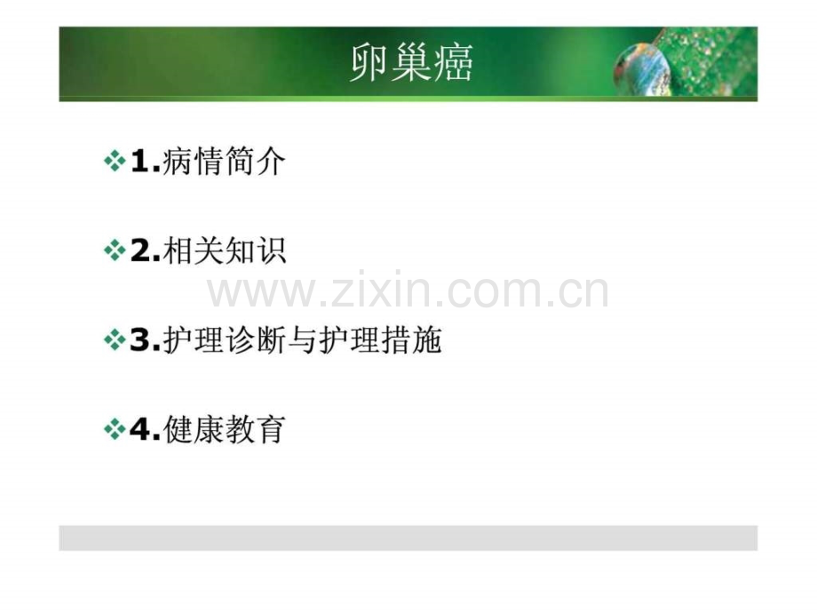 卵巢癌的护理查房1图文.pptx_第2页