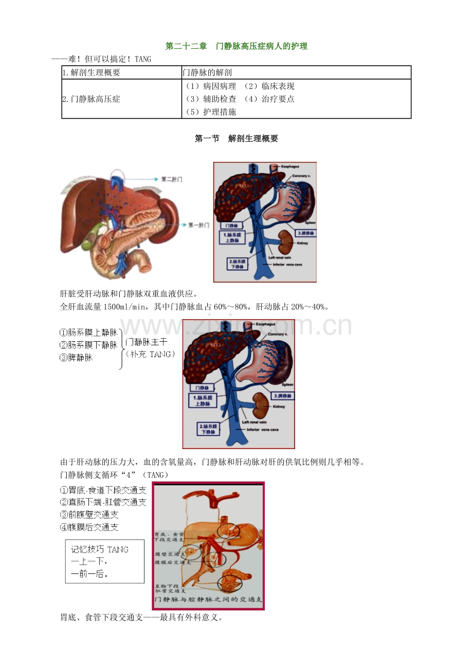 主管护师外科讲义门静脉高压症病人的护理.doc_第1页