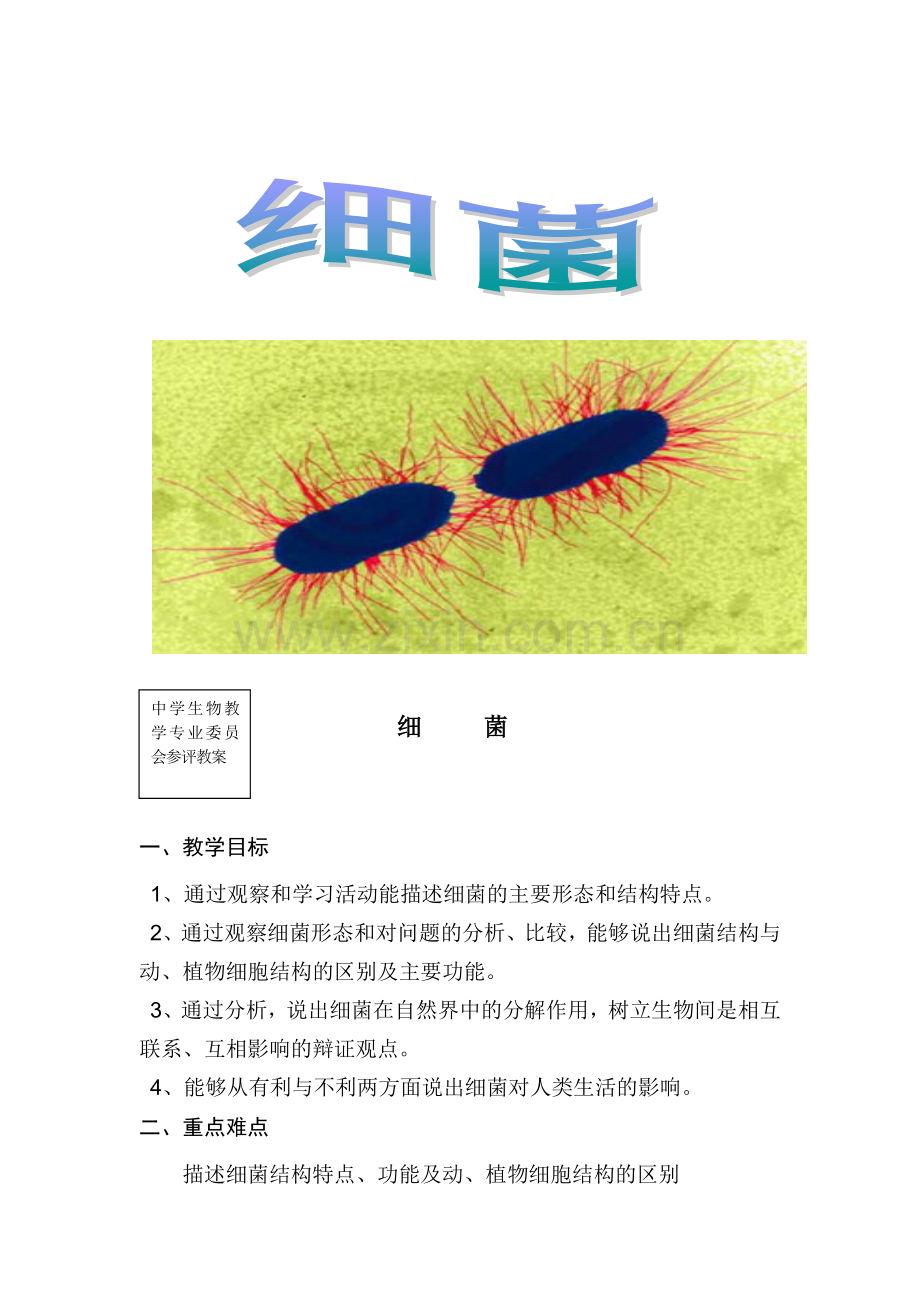 初中生物八年级上册细菌教学设计.doc_第1页