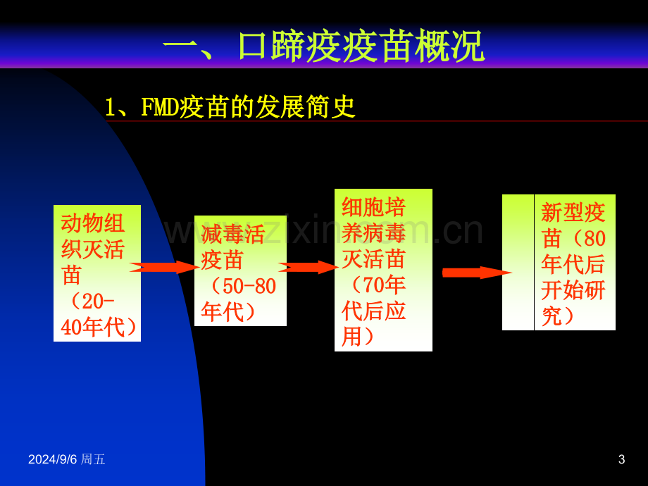 免疫技术B卷.pptx_第3页