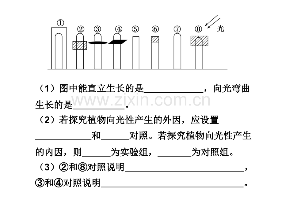 高三生物综合题型.pptx_第2页