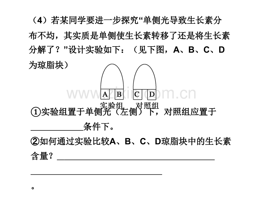 高三生物综合题型.pptx_第3页