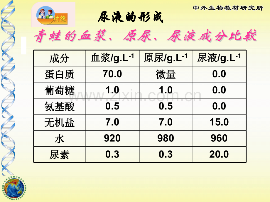 人体废物的排出.pptx_第3页