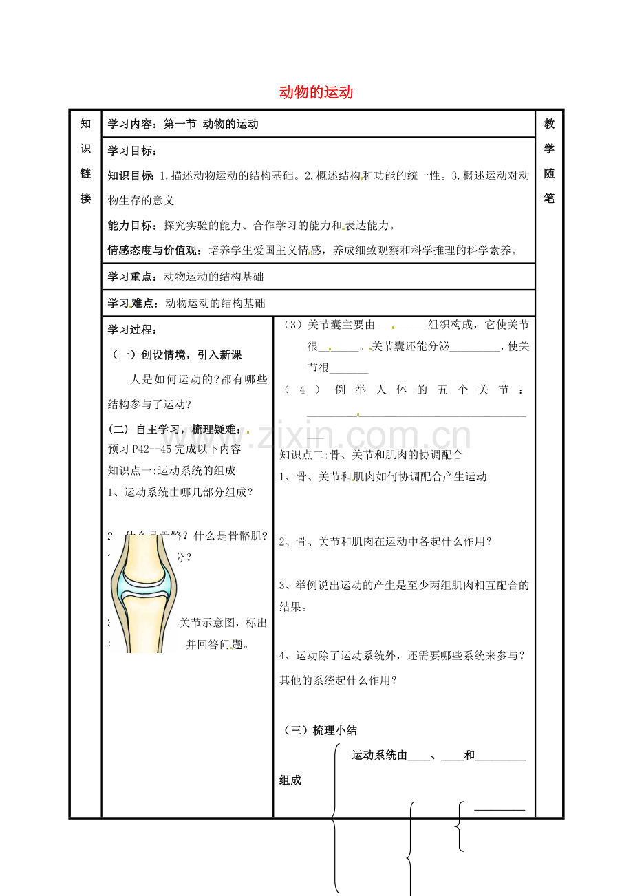 八年级生物上册----动物的运动导学案无答案新版新人教版.doc_第1页