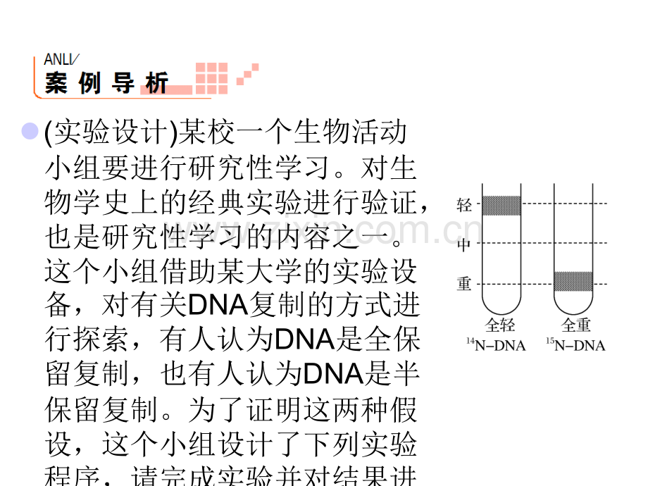 高三生物实验专项突破复习17.pptx_第3页