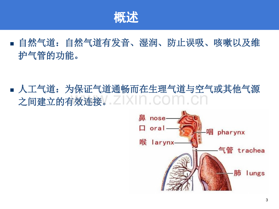 重症患者气道管理.pptx_第3页