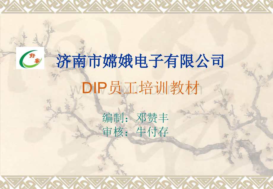 DIP员工培训教材.pptx_第1页