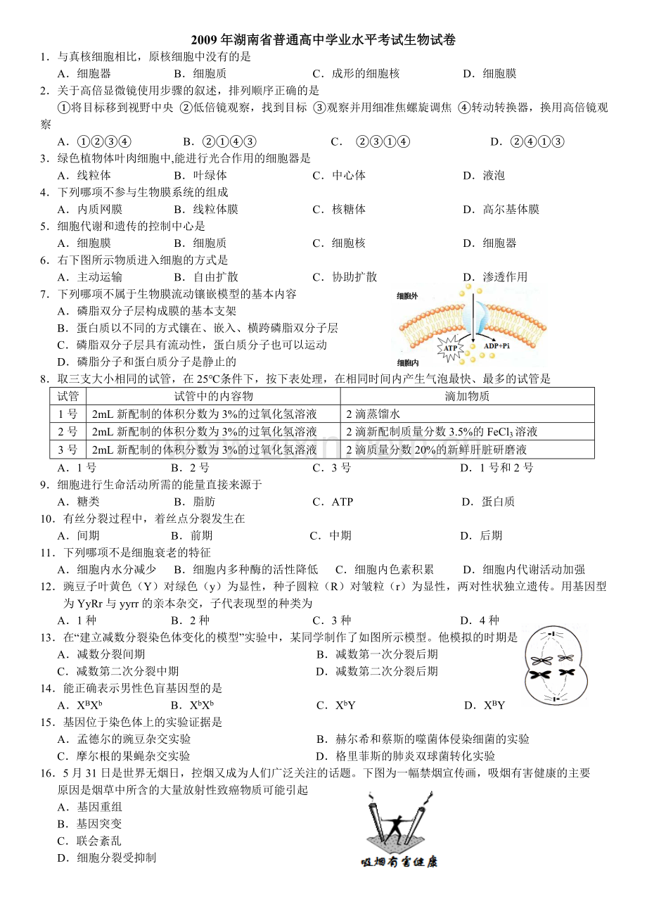 2009湖南省普通高中生物学业水平考试真题汇编整理版含答案.doc_第1页