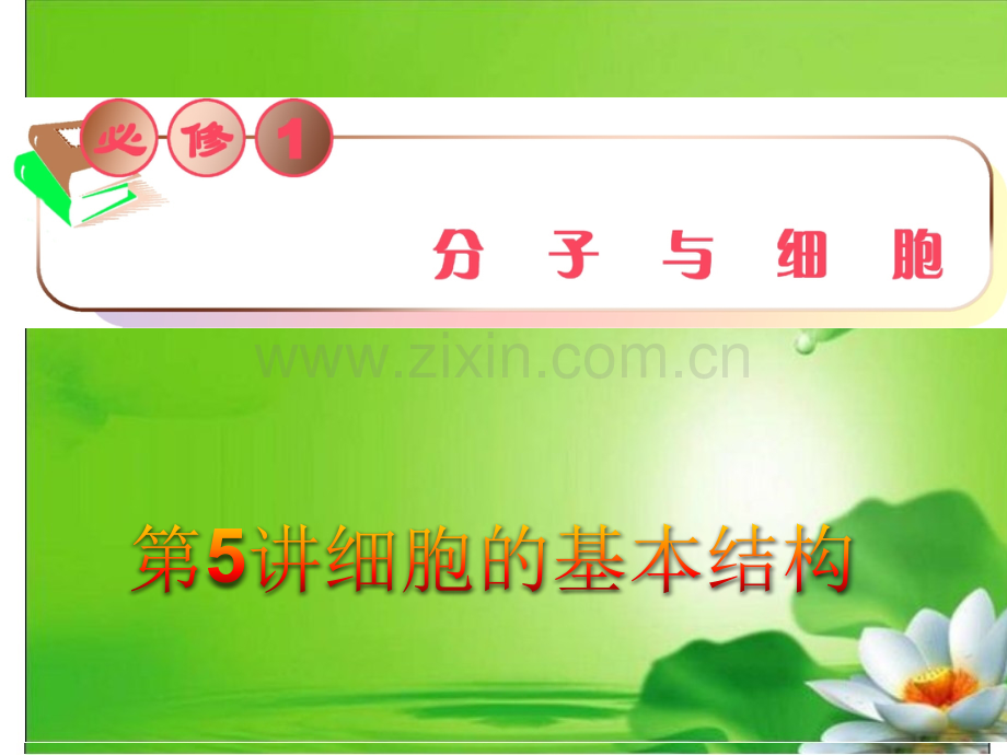 高三生物复习安徽用必修1细胞基本结构.pptx_第1页