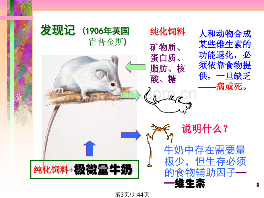 6维生素与辅酶.pptx_第3页