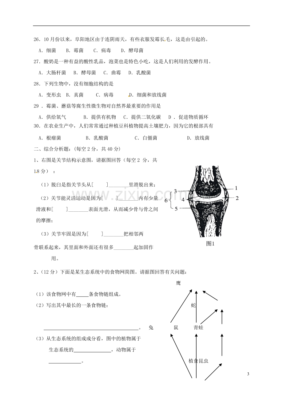 八年级生物上学期期中试题-新人教版4.doc_第3页