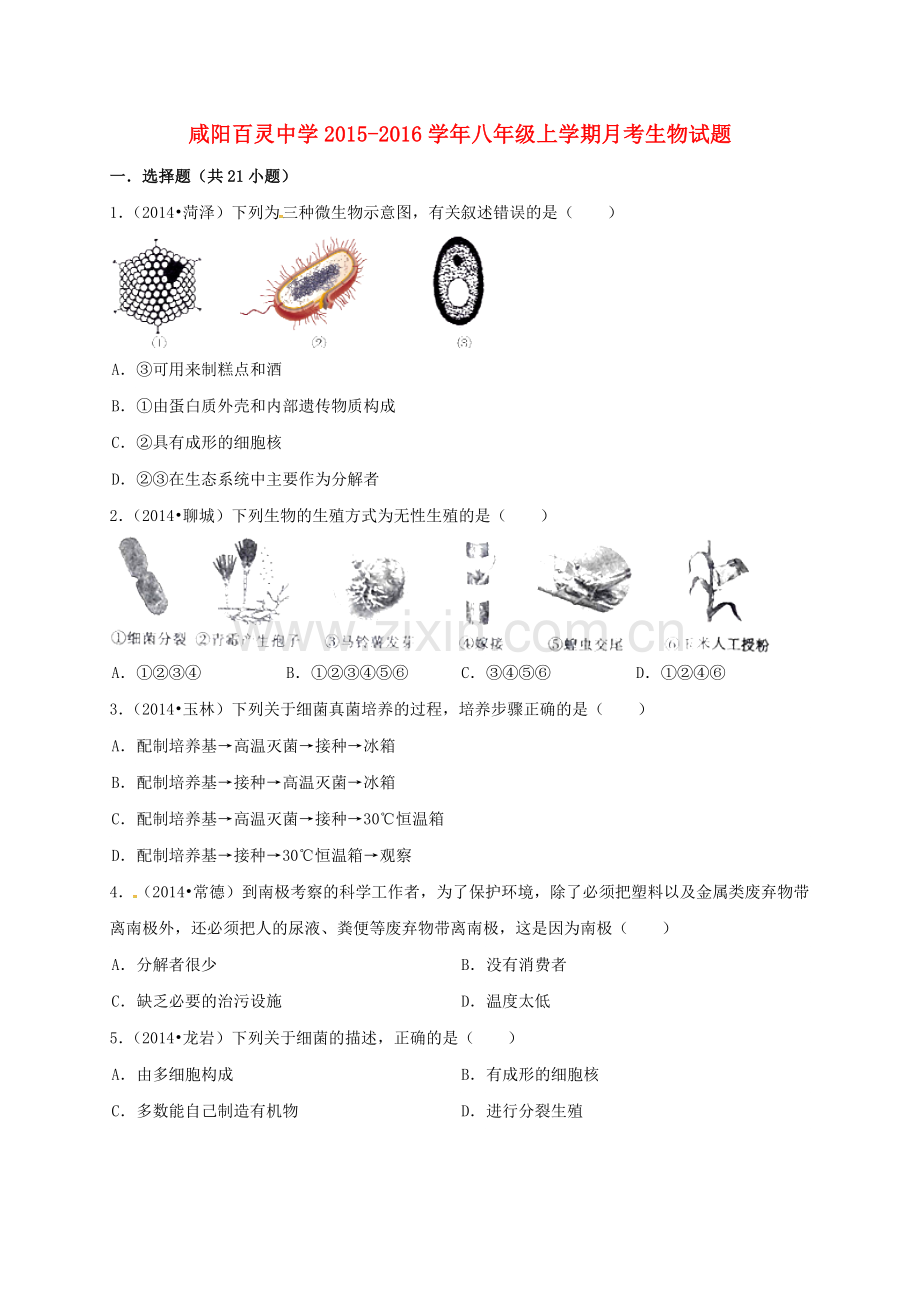 八年级生物上学期第三次月考试题无答案-新人教版.doc_第1页