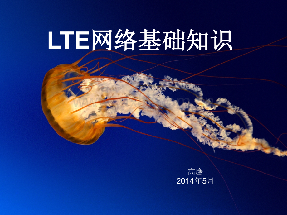 LTE基础知识介绍.pptx_第1页