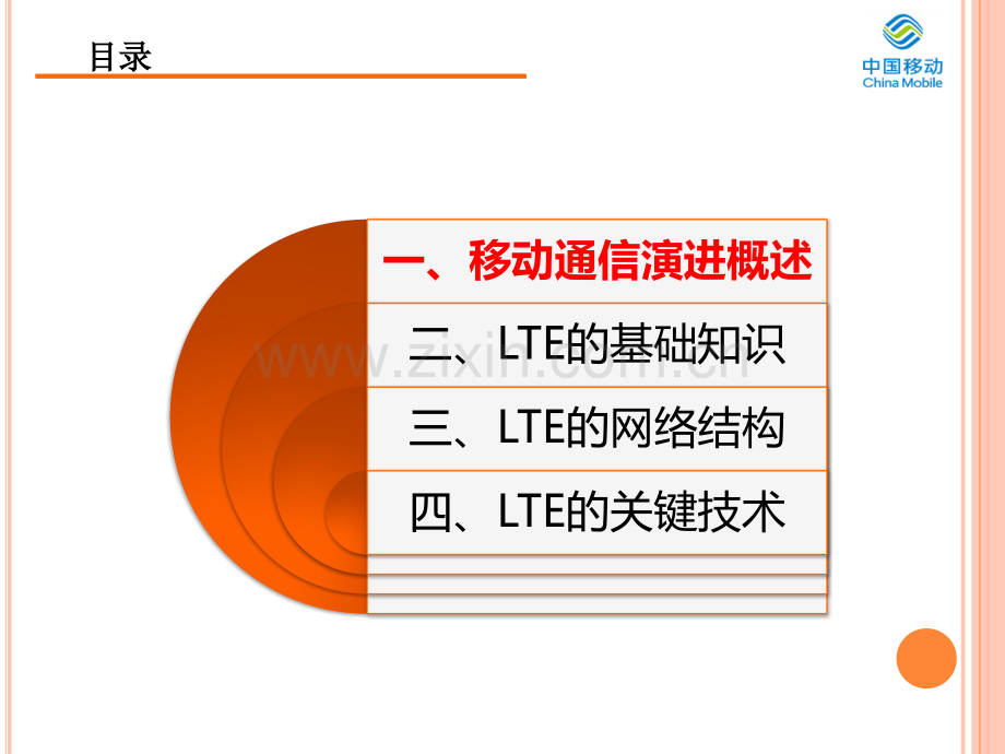 LTE基础知识介绍.pptx_第2页