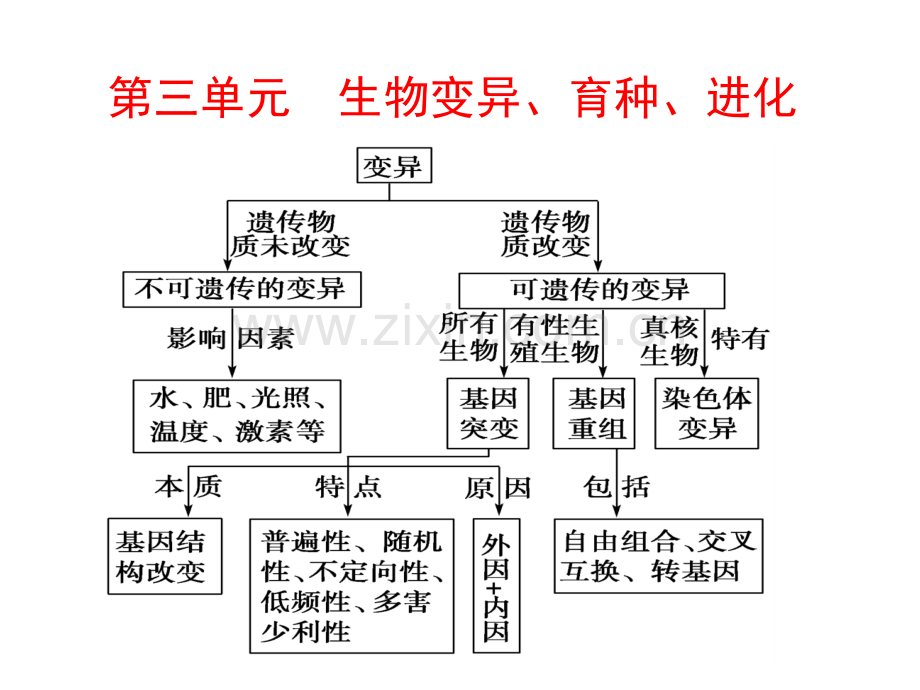 高三生物第一轮复习基因突变和基因重组.pptx_第1页