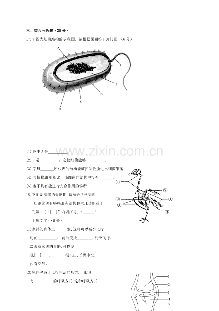 八年级生物上学期期中试题-新人教版14.doc_第3页