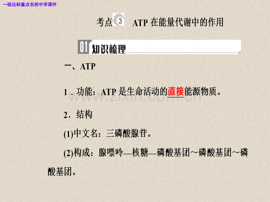 高三生物复习精讲精练之专题三考点3ATP在能量代谢中的作用.pptx_第2页