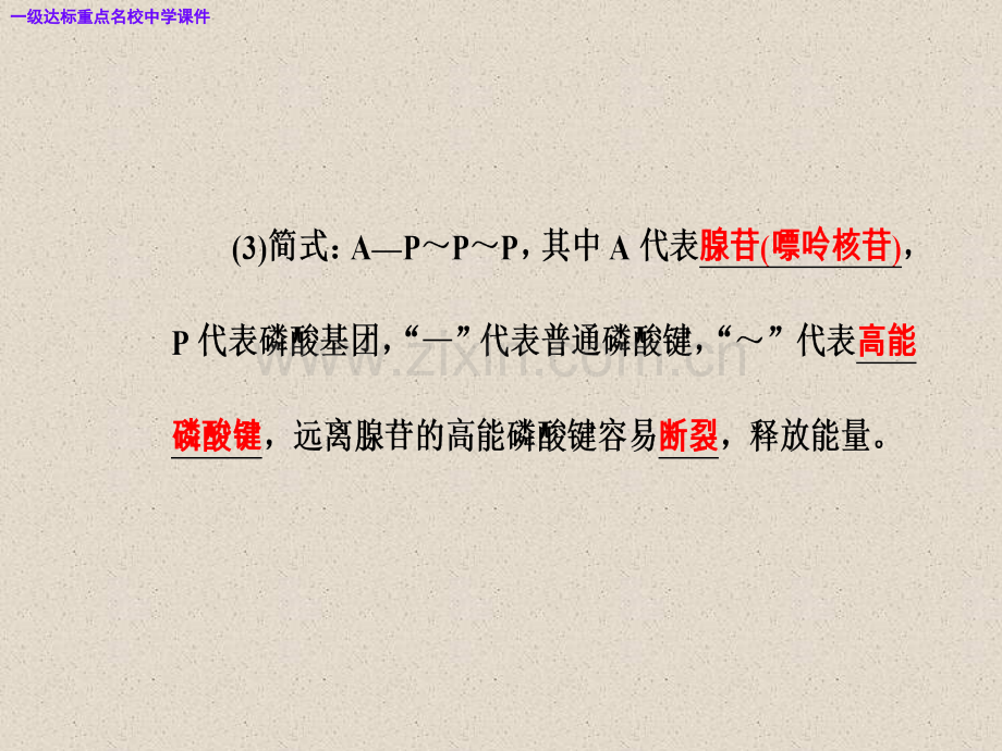 高三生物复习精讲精练之专题三考点3ATP在能量代谢中的作用.pptx_第3页