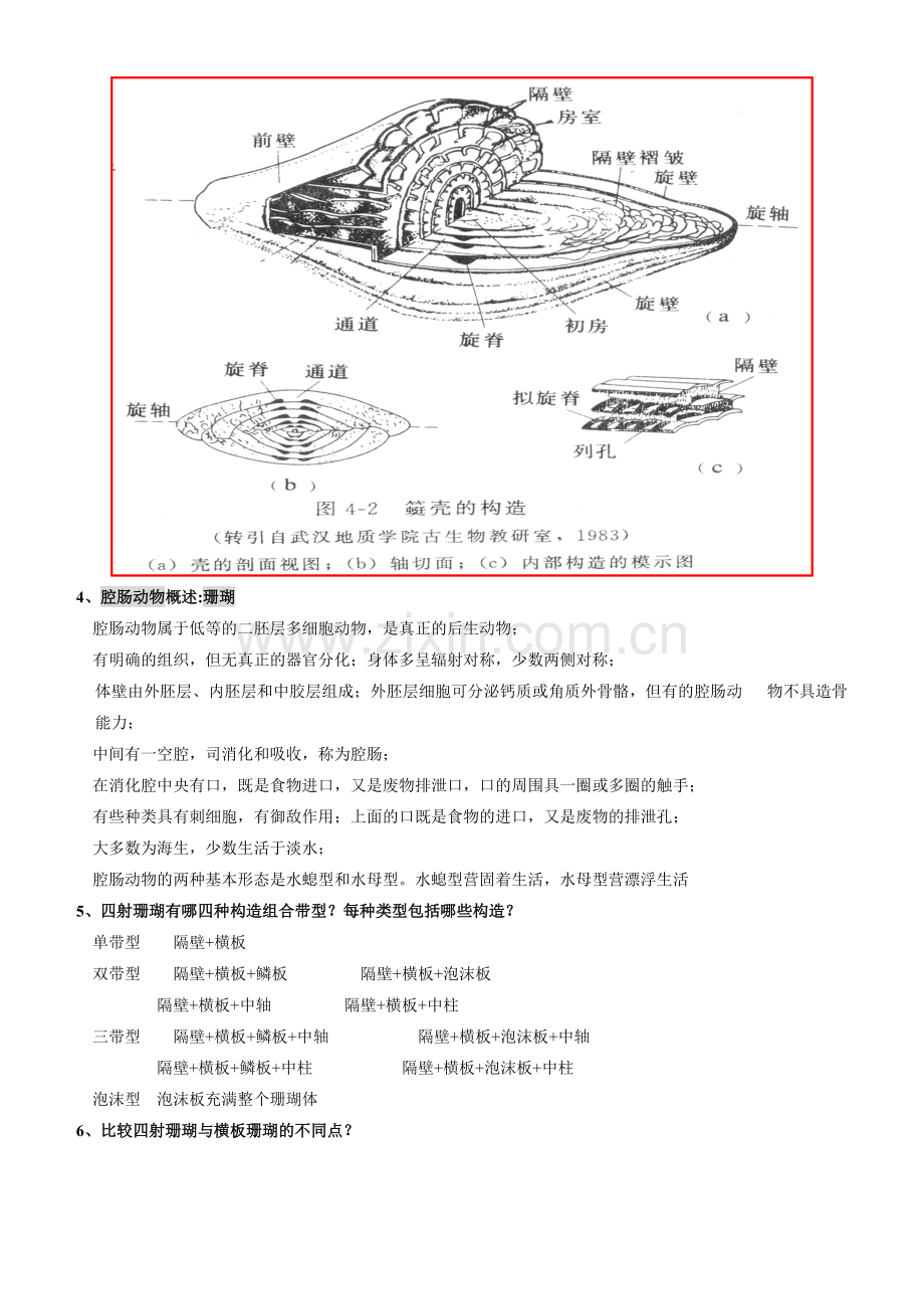 2012古生物地史学复习题.doc_第3页