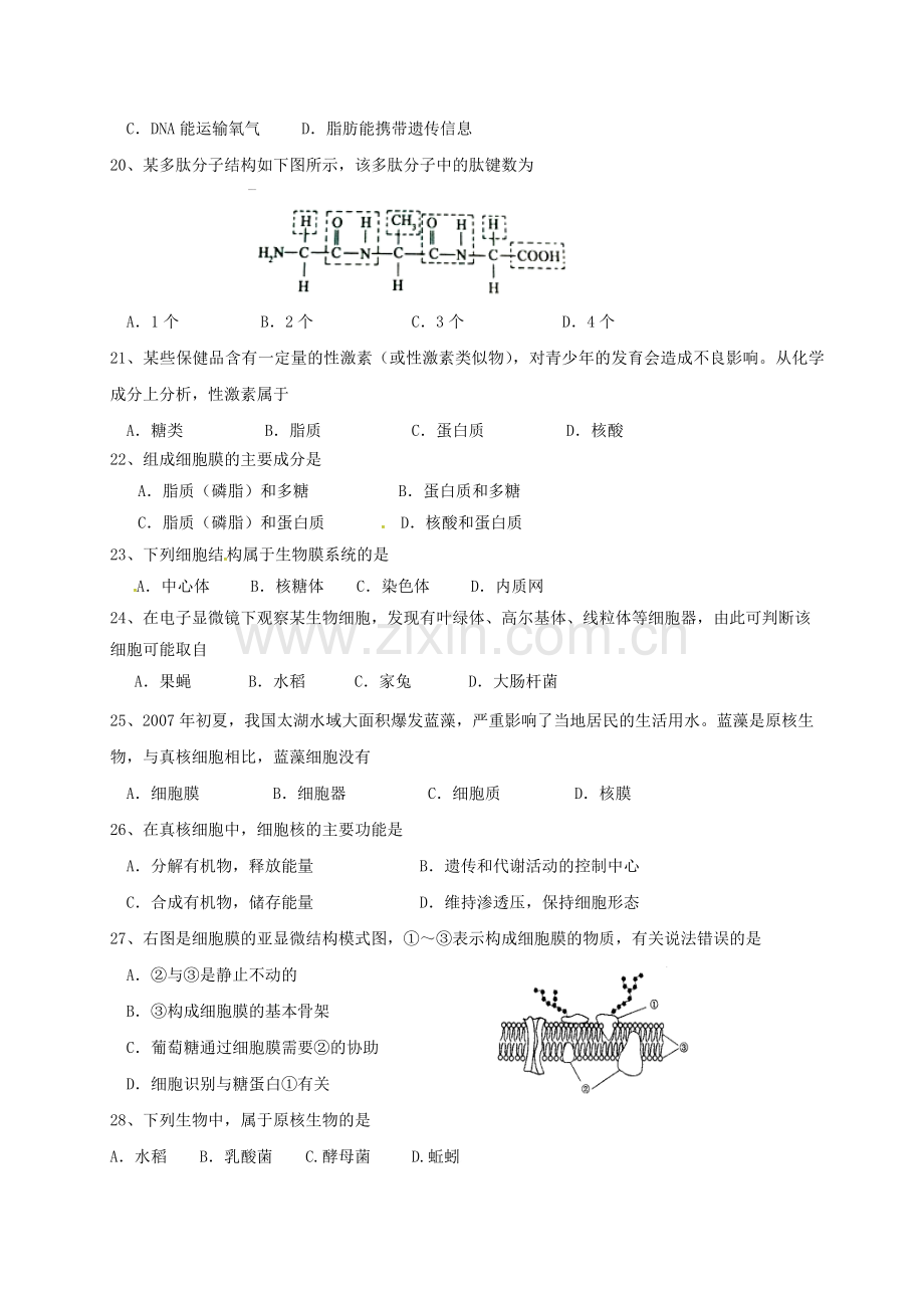 高一生物上学期期中试题无答案5.doc_第3页