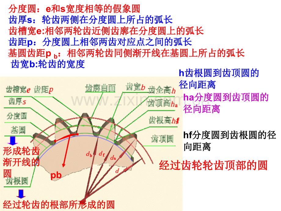 齿轮传动习题.pptx_第3页