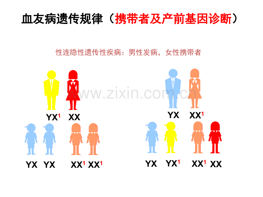 2015血友病临床路径.pptx_第3页