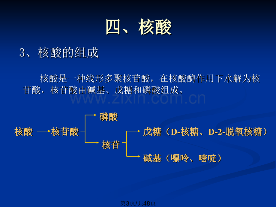 总生命的化学基础.pptx_第3页