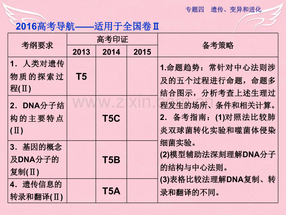 高三生物二轮复习专题四遗传变异和进化遗传的物质基础.pptx_第3页