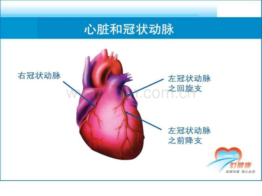 冠心病的防治患者教育.pptx_第3页