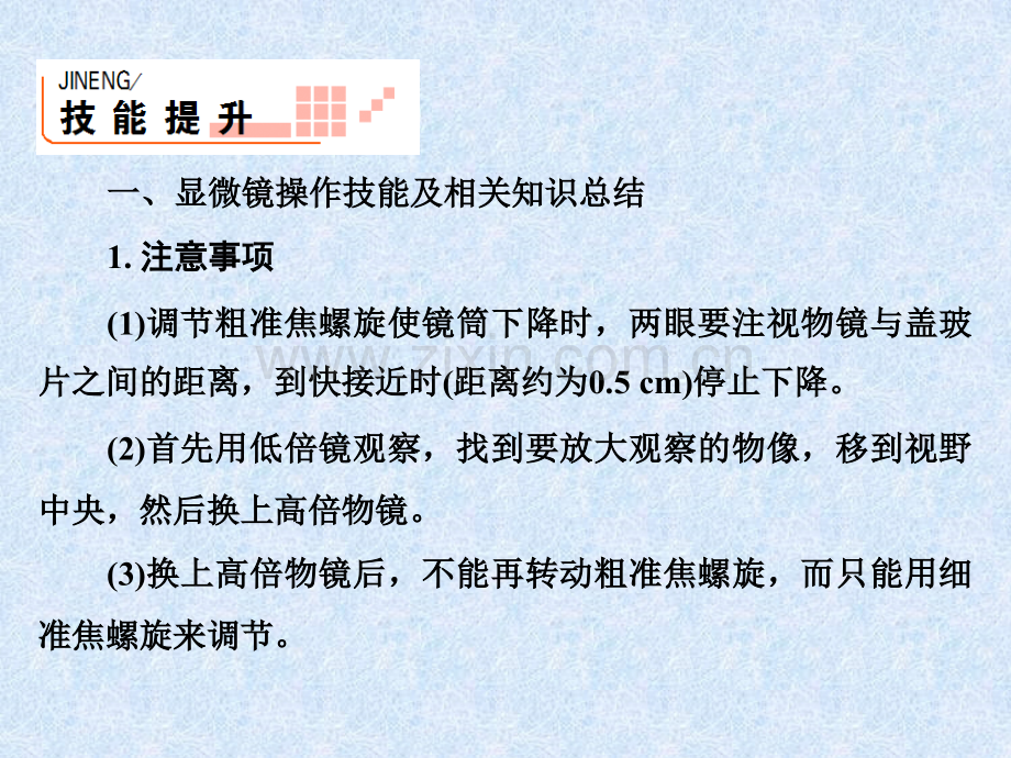 高三生物人教版实验专项突破1-用显微镜观察各种各样的细胞.pptx_第2页