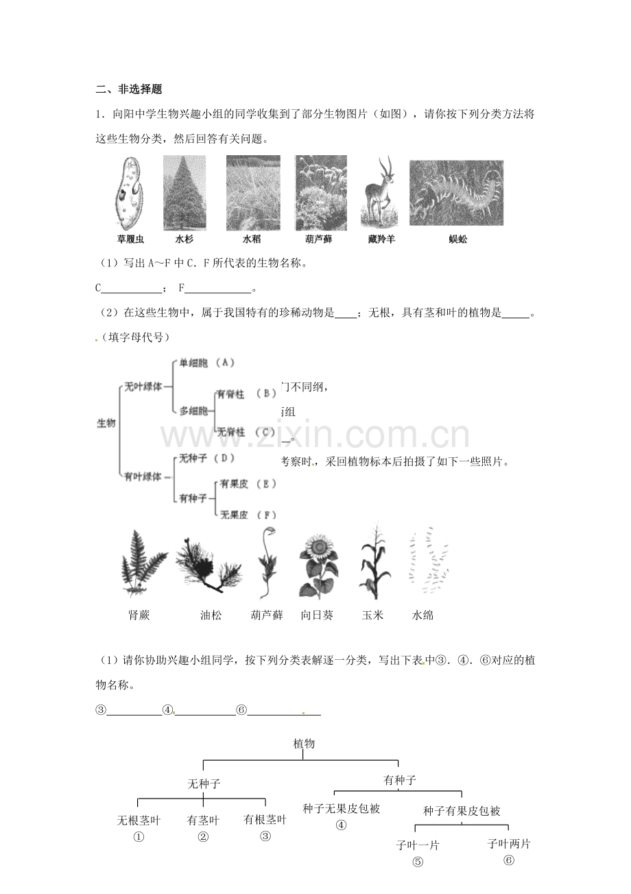 八年级生物上册----尝试对生物进行分类同步练习2-新版新人教版1.doc_第2页