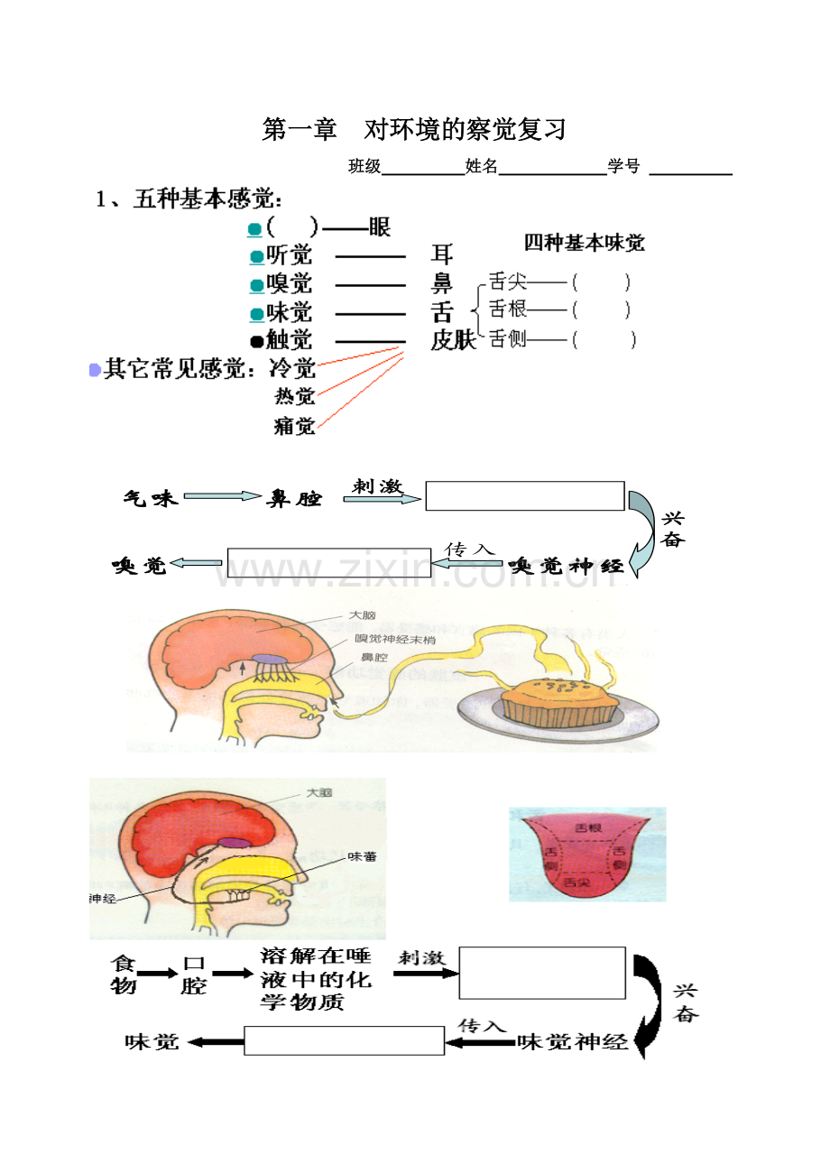 对环境的察觉复习.doc_第1页