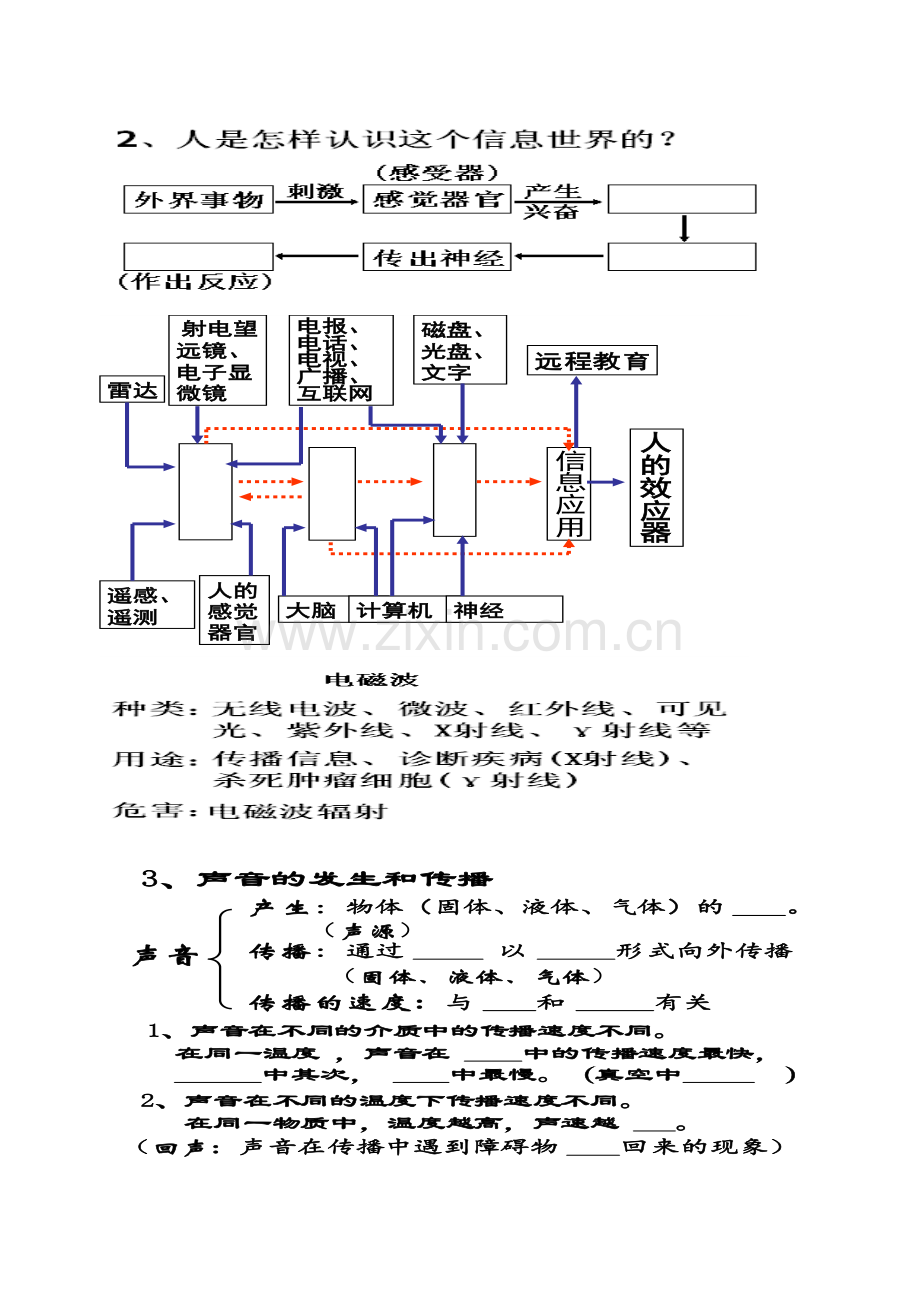 对环境的察觉复习.doc_第3页