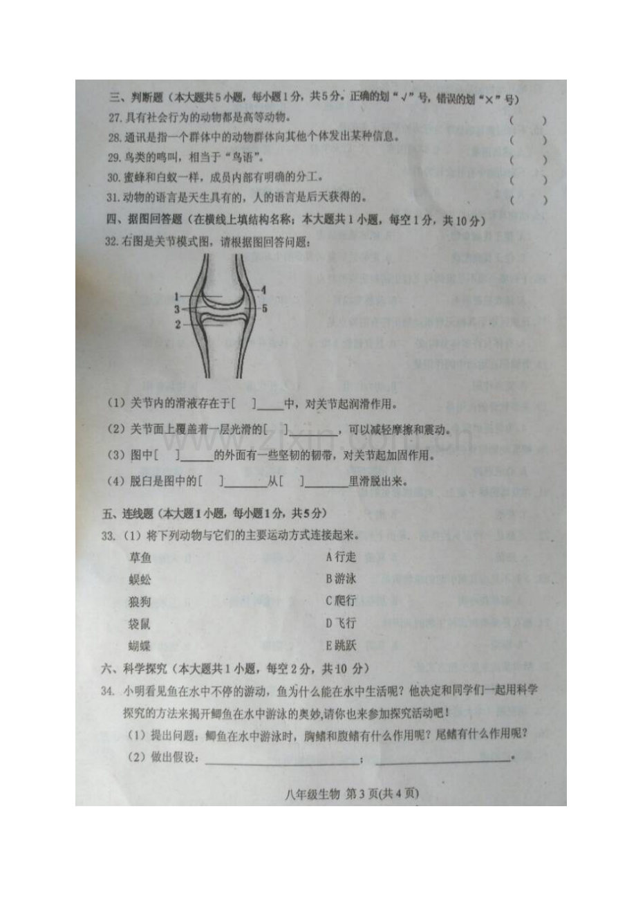 八年级生物上学期期末考试试题-新人教版4.doc_第3页