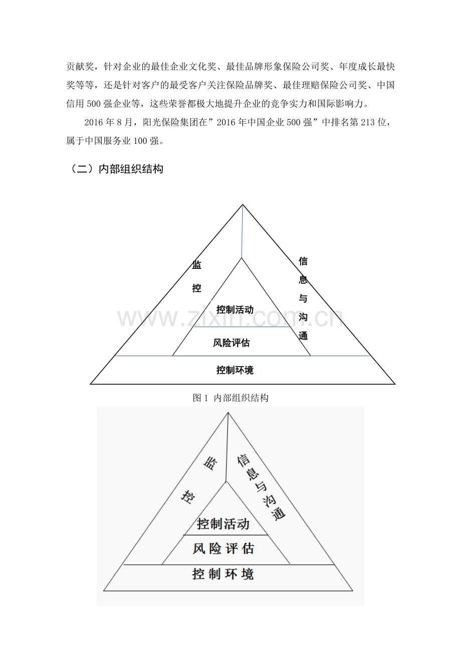 阳光保险集团股份有限公司内部控制调研报告.doc_第3页