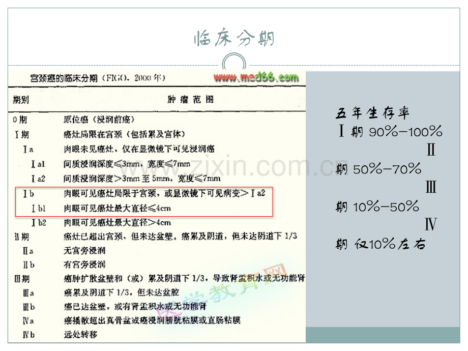 宫颈癌预后.pptx_第3页