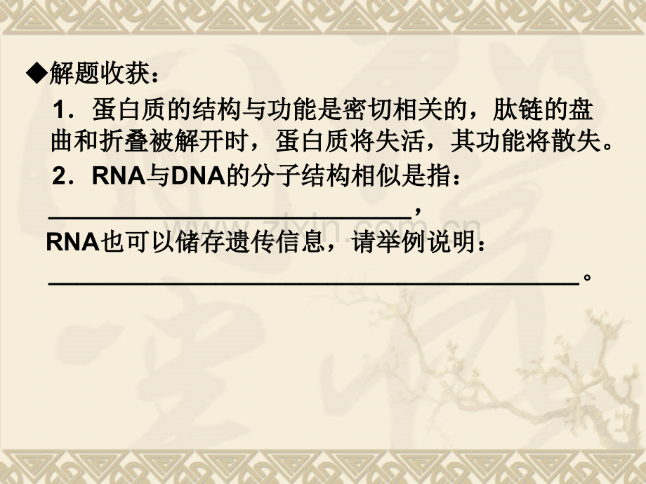 高三生物二轮专题复习课件细胞的分子组成.pptx_第3页